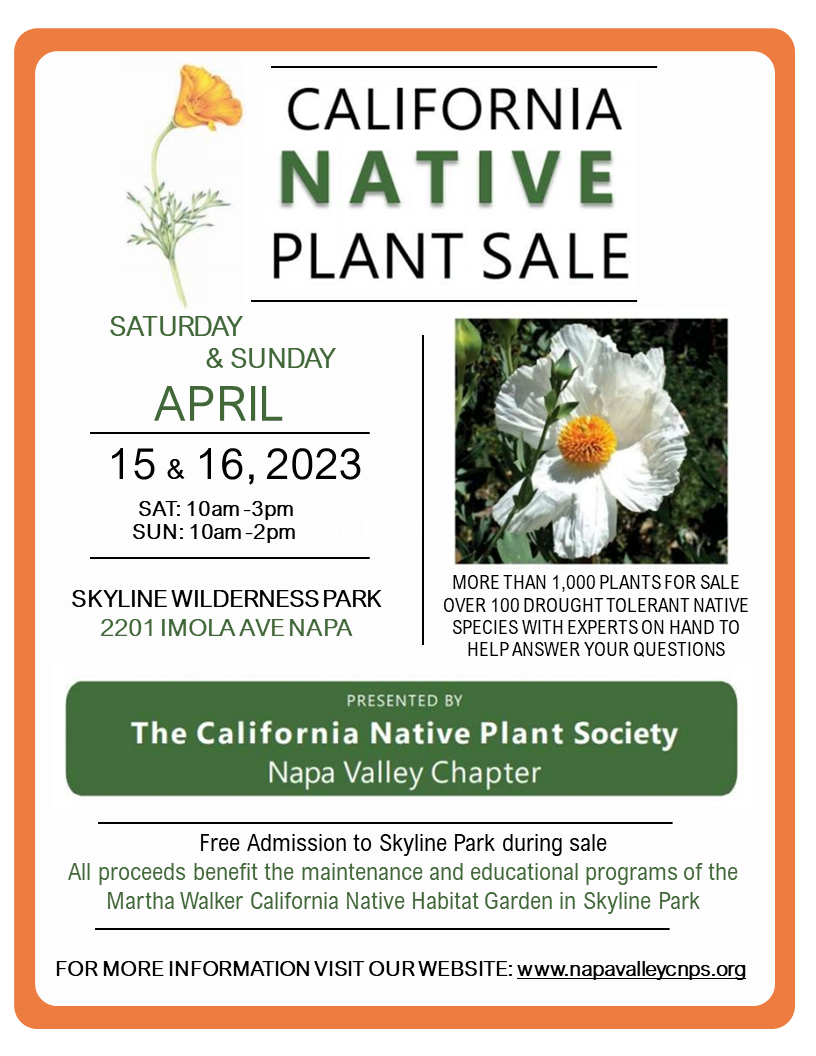 Hero image for California Native Plant Sale